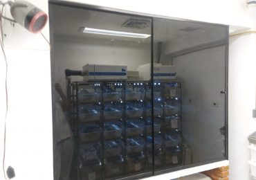 Controle de biotério 3